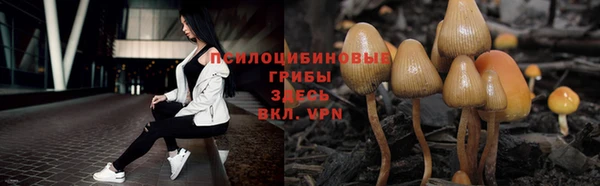 кокаин Белокуриха