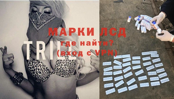 ПСИЛОЦИБИНОВЫЕ ГРИБЫ Беломорск