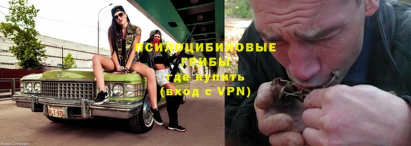 стафф Баксан