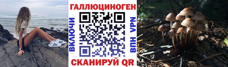 blacksprut как войти  даркнет наркотические препараты  Галлюциногенные грибы мухоморы  Мирный 